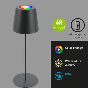 Lampada da tavolo a LED Tyli RGB Alluminio - 1 punti luce - Color antracite