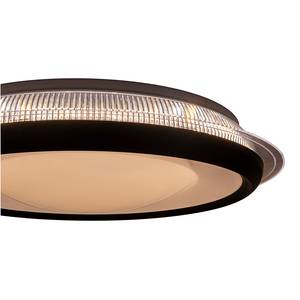 Lampada da soffitto a LED Canna Ferro / Vetro acrilico - Nero - 1 punto luce