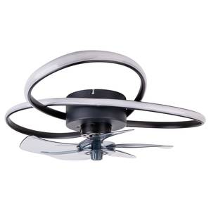 Plafonnier LED Riccio Acier / Aluminium - Noir - 2 ampoules - Ventilateur inclus