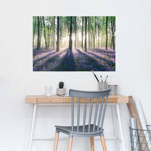 Poster Glockenblumen im Wald Papier - Lila - 61 x 91,5 cm