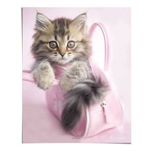 Poster Rachel Hale Minnie Papier - Pink - 40 x 50 cm