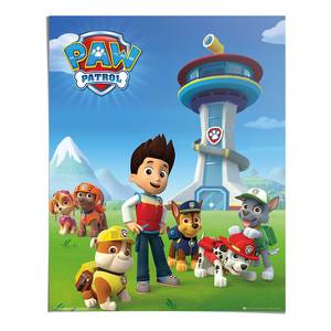 Poster Paw Patrol Team papier - meerdere kleuren - 40 x 50 cm