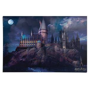 Poster Harry Potter Hogwarts papier - blauw - 61 x 92 cm