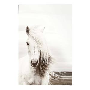 Poster Paard Woit papier- wit - 61 x 91,5 cm