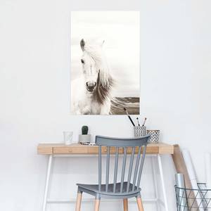 Poster Paard Woit papier- wit - 61 x 91,5 cm