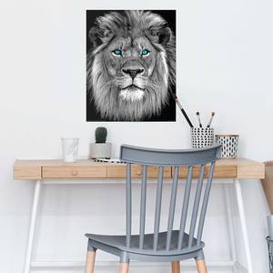 Poster Blue Eyed Lion papier - zwart - 40 x 50 cm