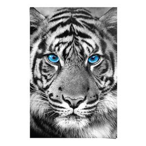 Poster Tigerblick Papier - Schwarz - 61 x 91,5 cm