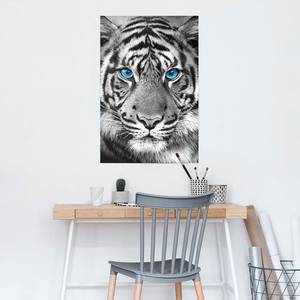 Poster Tigerblick Papier - Schwarz - 61 x 91,5 cm