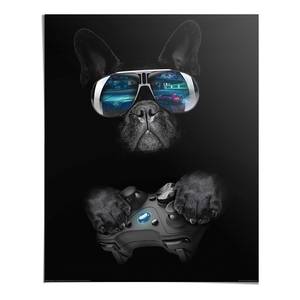 Poster Doggy Cool Papier - Schwarz - 40 x 50 cm