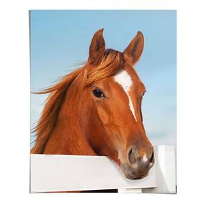 Poster Horse Portrait Papier - Braun - 40 x 50 cm