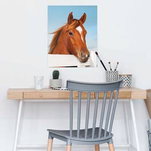 Poster Horse Portrait Papier - Braun - 40 x 50 cm