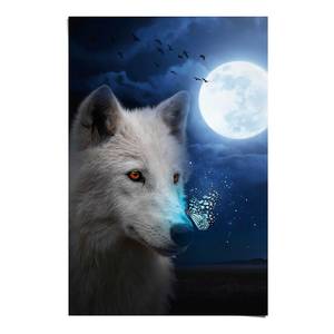 Poster Weißer Wolf Papier - Blau - 61 x 91,5 cm