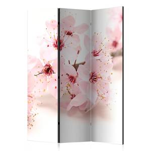 Paravent Cherry Blossom 1-seitig Vlies auf Massivholz - Creme - 135 x 172 cm