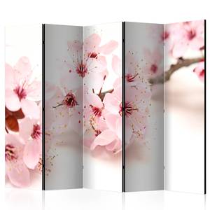 Paravent Cherry Blossom Akustik Vlies auf Massivholz - Creme - 225 x 172 cm