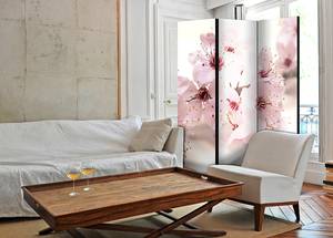 Paravent Cherry Blossom Akustik Vlies auf Massivholz - Creme - 135 x 172 cm