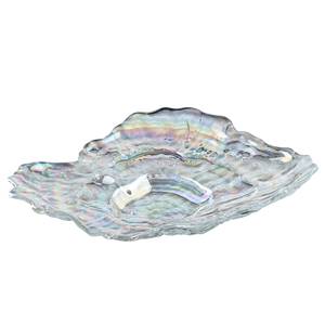 Muschelschale Poesia Klarglas - Transparent - 23 x 17 cm