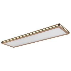 LED-Deckenleuchte Carla Typ B Acryl / Eisen - 2-flammig