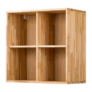 Regalelement FINSEN mit Rückwand