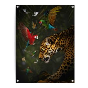 Kunstdruck Dschungeltiere PVC - Multicolor - 60 x 80 cm