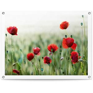 Kunstdruck Mohnblüten PVC - Rot - 60 x 80 cm