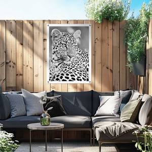 Kunstdruck Leopard PVC - Schwarz - 60 x 80 cm