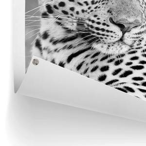 Kunstdruck Leopard PVC - Schwarz - 60 x 80 cm