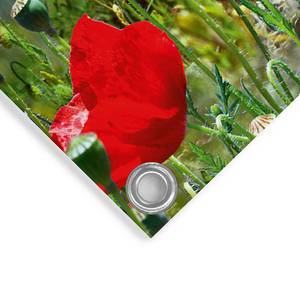 Kunstdruck Sommerblumen PVC - Rot - 60 x 80 cm