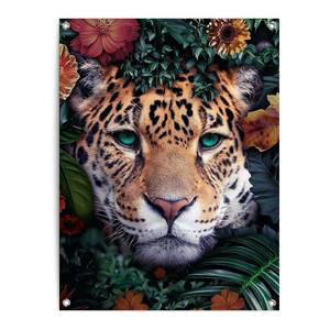 Kunstdruck Leopard PVC - Multicolor - 60 x 80 cm