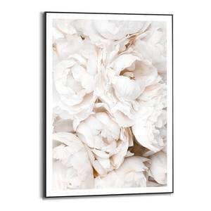 Gerahmtes Bild White Roses Gerahmtes Holzbild - Weiß - 50 x 70 cm