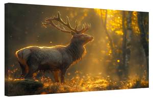 Bild Hirsch Tiere V 100 x 70 cm