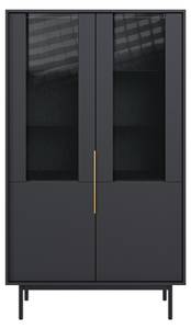 Vitrinenschrank VIVA SC104 2D Schwarz