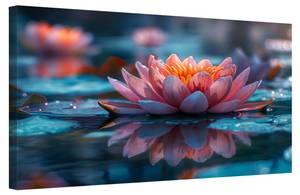 Bild Lotus Blumen IV 100 x 70 cm