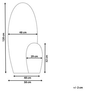 Wandspiegel VIERZON Schwarz - Glas - 58 x 120 x 3 cm