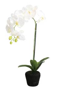 Orchidee getopft Weiß - Kunststoff - 12 x 60 x 12 cm