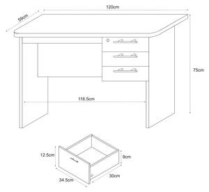 Bureau Ragunda Marron - Bois manufacturé - 120 x 75 x 59 cm