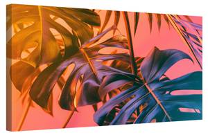 Bild Abstrakt Monstera VIII 120 x 80 cm