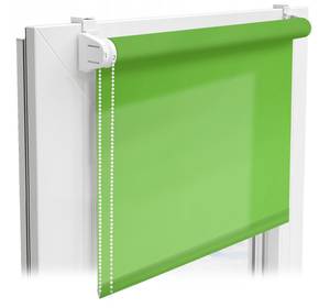 Sichtschutzrollo Daylight Color Grün - 150 x 2 x 110 cm