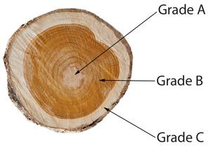 Teak-Wandspiegel M75 Braun - Glas - Holzart/Dekor - Holz teilmassiv - 80 x 71 x 3 cm