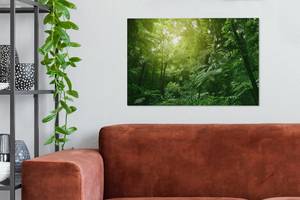 Leinwandbilder 60x40 Dschungel - Textil - 60 x 40 x 2 cm