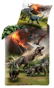 Bettwäsche Jurassic World Dinosaurier Grau - Grün - Textil - 135 x 200 x 1 cm
