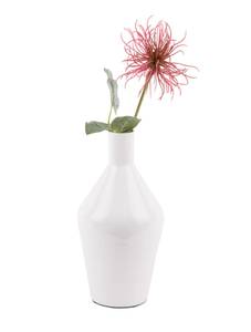 Vase Ivy Bottle Cone Blanc