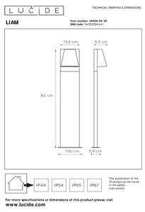 Wegeleuchte LIAM Grau - Metall - 10 x 80 x 10 cm