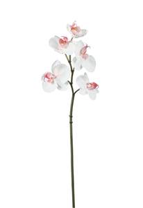 Orchidee Phalaenopsis Weiß - Kunststoff - 1 x 45 x 1 cm