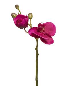 Orchidee Phalaenopsis Forever Pink - Textil - 1 x 32 x 1 cm