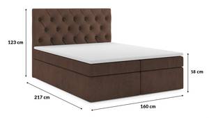 Boxsingbett BLANO 160 cm cm CS2307 Braun Braun - Holzwerkstoff - 160 x 123 x 217 cm