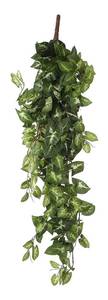 Plante artificielle Fittonia Vert - Matière plastique - 30 x 15 x 80 cm
