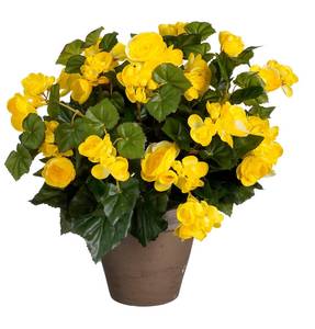 Fleur artificielle Begonia Jaune - Matière plastique