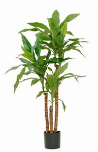 Kunstpflanze Dracaena Höhe: 100 cm