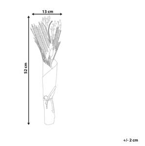Trockenblumenstrauss CABRA Blau - Braun - Naturfaser - 13 x 52 x 3 cm