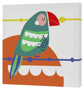 Pretty parrots Toile 27x27 (B) cm Matière plastique - Textile - 1 x 27 x 27 cm